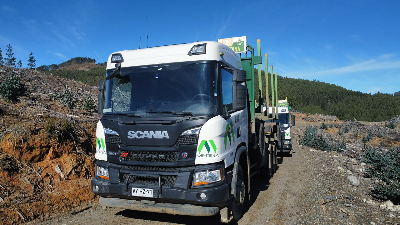 Camión Scania de Transportes Medina en faena forestal